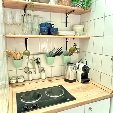Boutique Studio Flat At City Center Apartment *